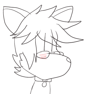 For Fox Sakes