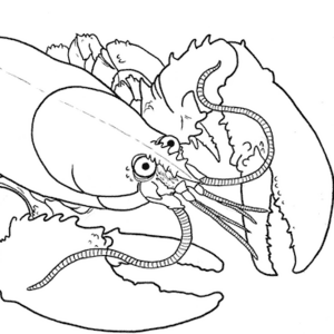 Imitation Lobster