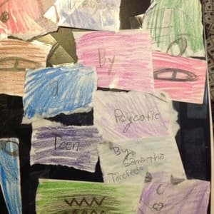 Diary of a Psychotic Teen
