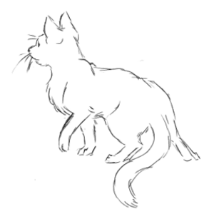 Random Draws and Doodles