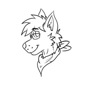 Casual Dingo