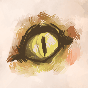 Aikonia: Charon's Journal
