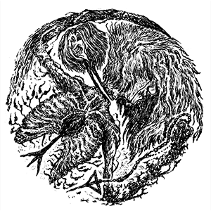 FaustFall