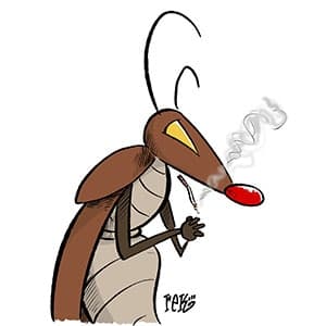 Clown School Cockroaches