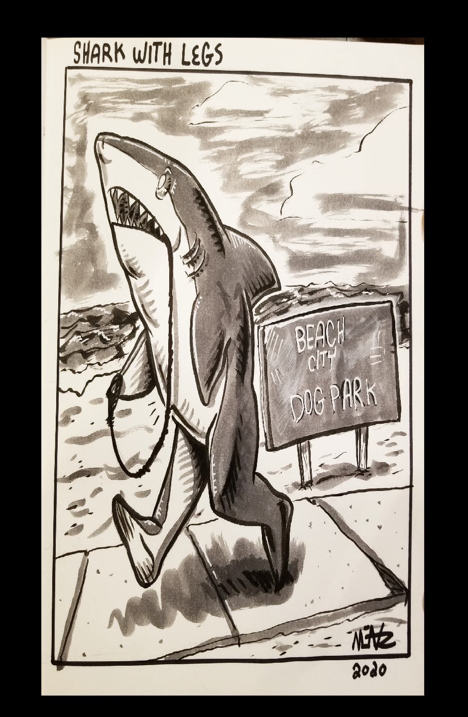 Shark with legs