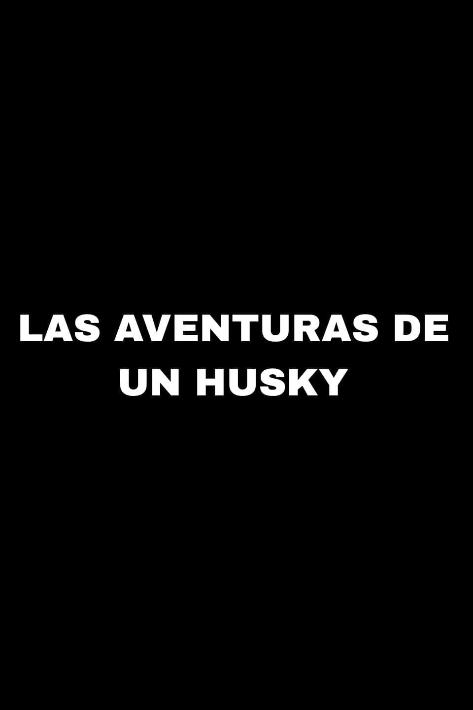 Las aventuras de un husky